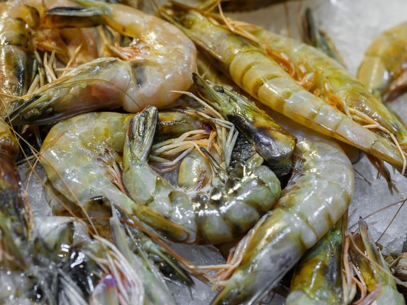 Red Giant Shrimp